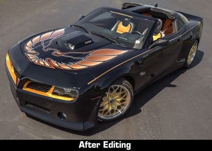 Firebird Cover photo